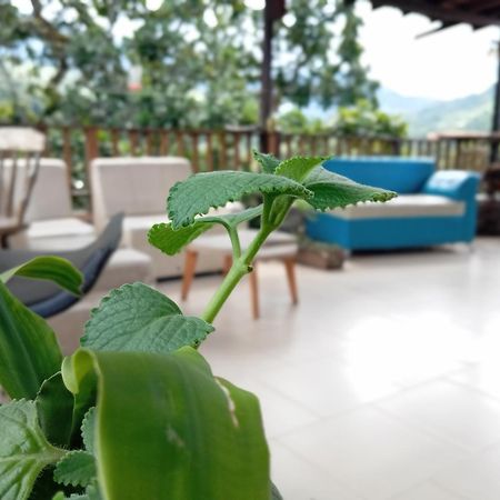 Hostal Los Wichos Minca Buitenkant foto